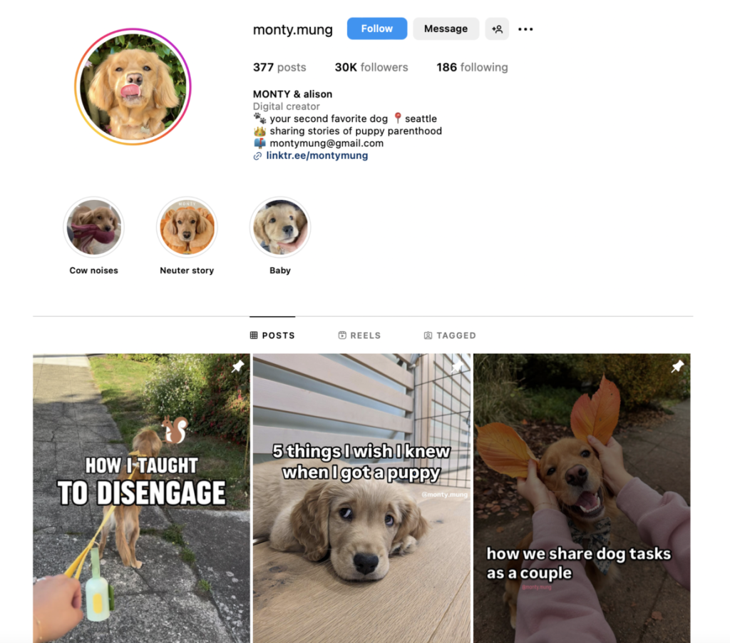 Monty_mungs instagram home page

